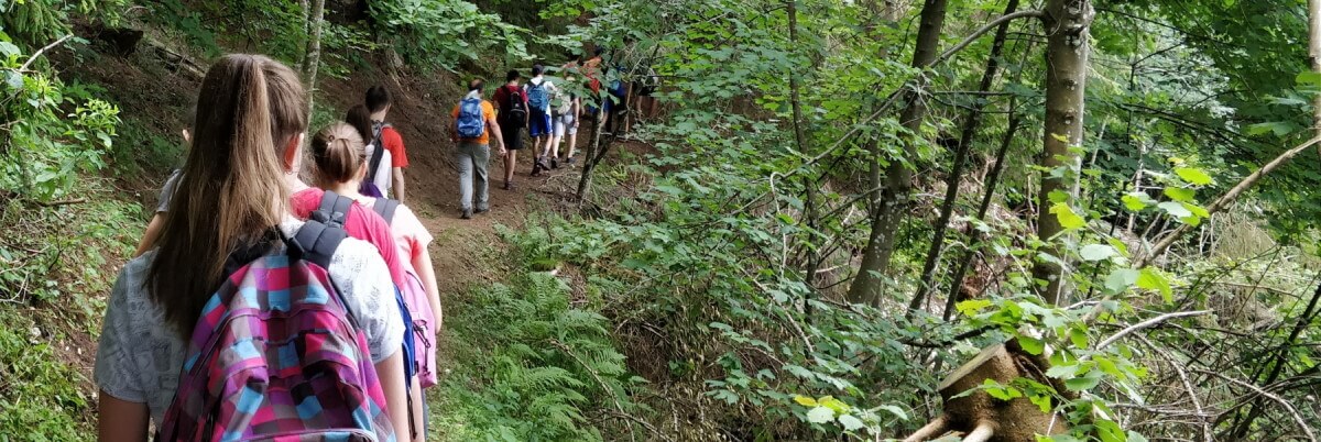 Camminata del campo di terza media 2019